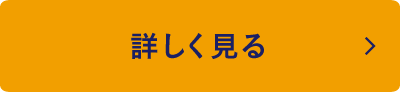 詳しく見る